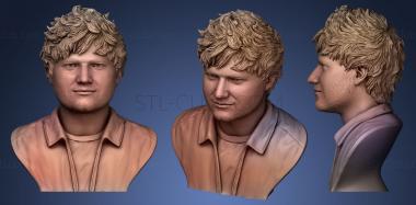 3D model Ed Sheeran (STL)